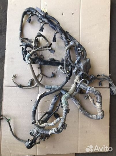 Проводка моторного отсека Хонда CR-V3 (764)