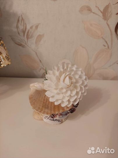 Новый сувенир из ракушек Анапа