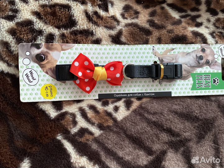 Ошейник для собак