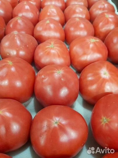 Помидоры