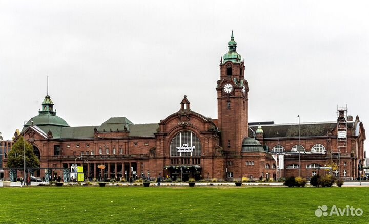 Укладка и продажа газона