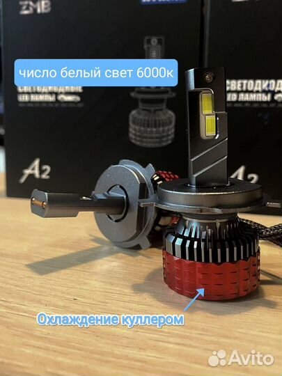 Светодиодные LED лампы Н19 +800%