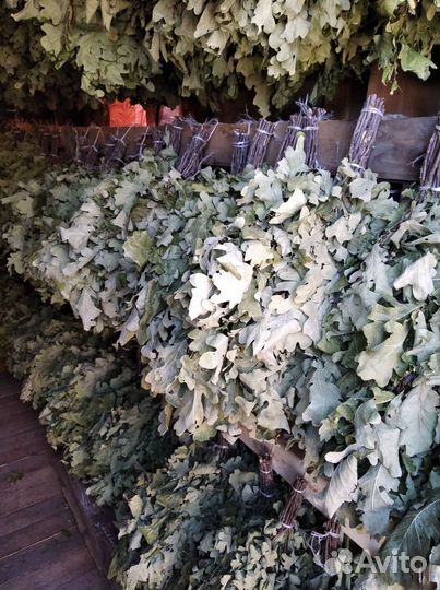 Дубовые веники