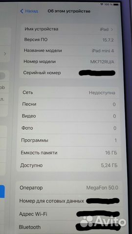 iPad mini 4 16gb wi-fi cellular