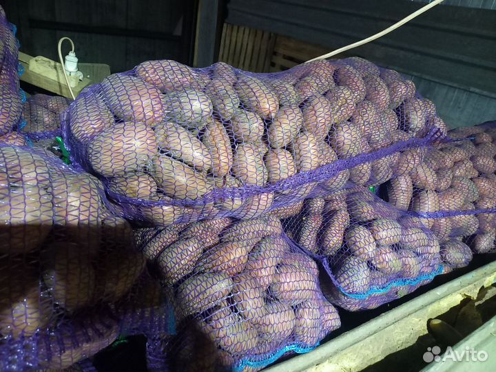 Картофель оптом доставка