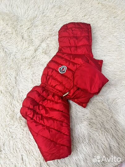 Зимний костюм для собак