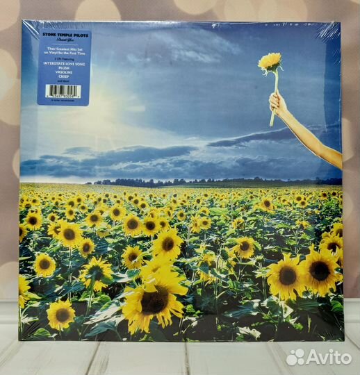 Stone Temple Pilots - Thank You 2LP Greatest Hits