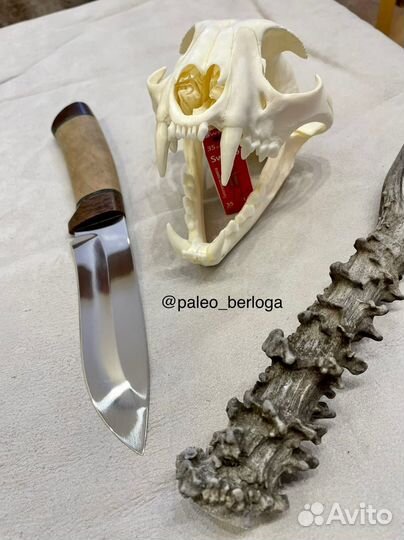 Череп (крупный)