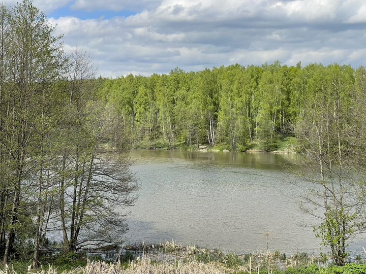 Участок 37 га (ИЖС)