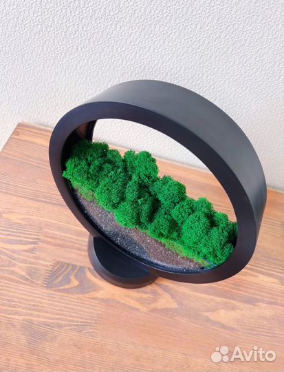 Круглое черное кашпо со мхом на подставке, новое