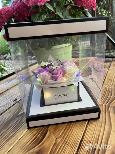 Розы бабочки