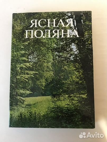 Ясная Поляна Борисов С. М
