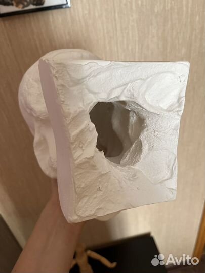 Гипсовый Череп И деревянный манекен