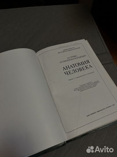 Привес анатомия человека