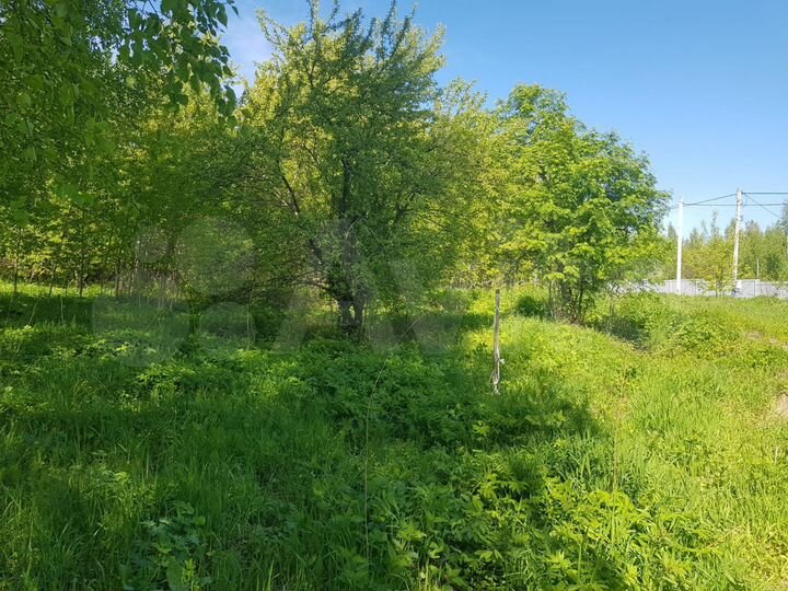 Участок 8,5 сот. (ИЖС)