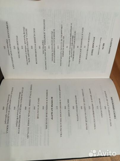 Виктор Ерофеев. В лабиринте проклятых вопросов