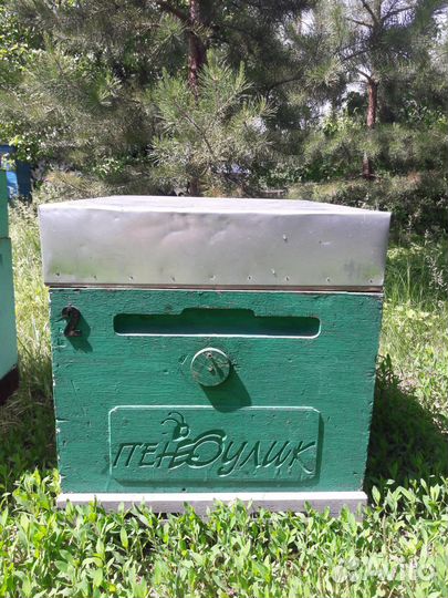 Улей ппс Пеноулик