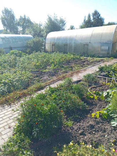 Участок 6 сот. (СНТ, ДНП)