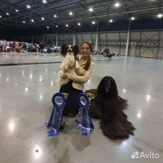 Услуги хендлера