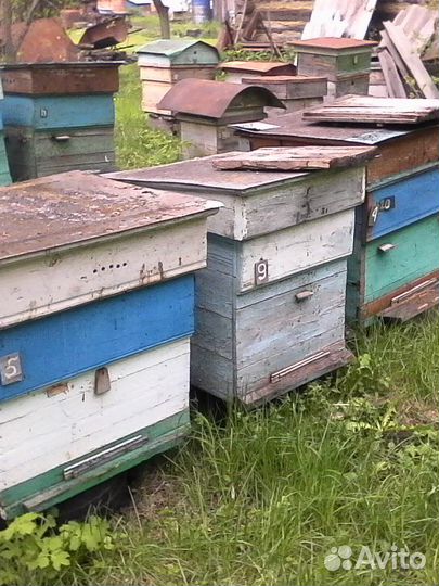 Ульи для пчел бу
