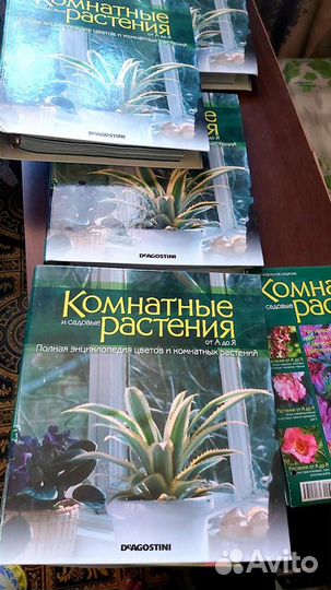 Журналы комнатные растения