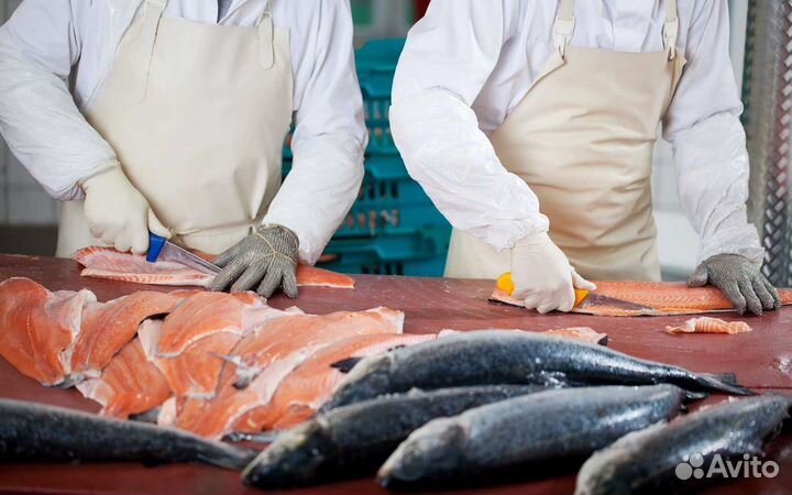 Фасовщик на производство /Вахта/ Еженедельная зп