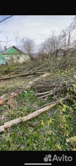 Дрова бесплатно самовывоз