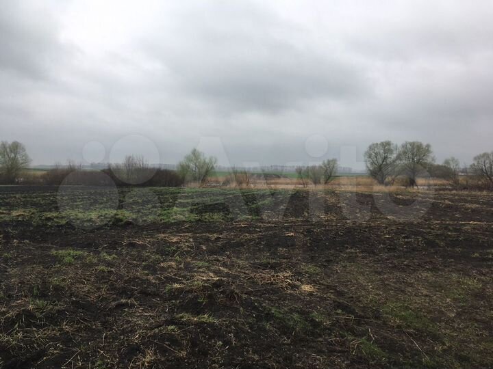 Дом 50 м² на участке 30 сот.