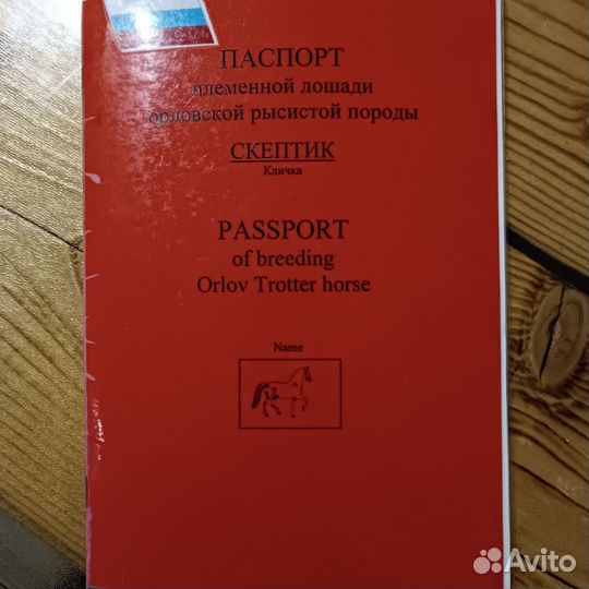 Жеребец Орловский рысак