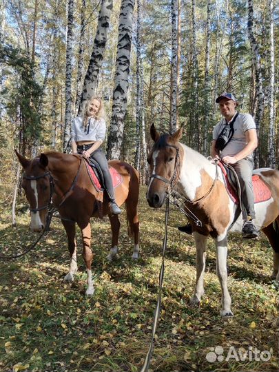 Конные прогулки, катание, обучение верховой езде