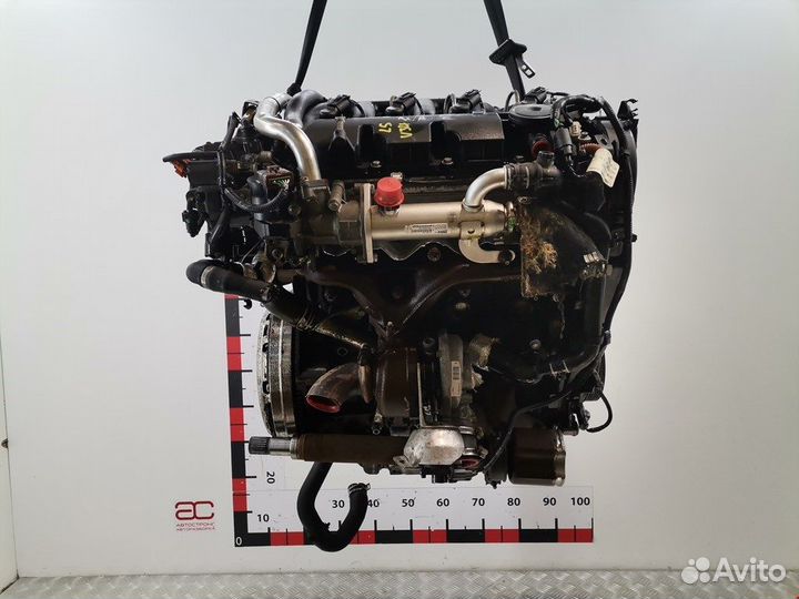 Двигатель (двс) для Ford Focus 2 1343078