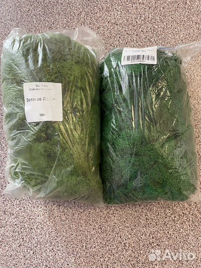 Стабилизированный мох