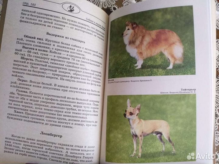 Книги собака, кошка в вашем доме