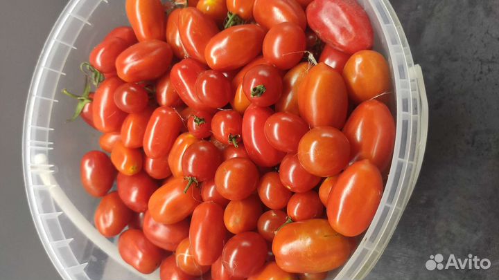 Помидоры черри