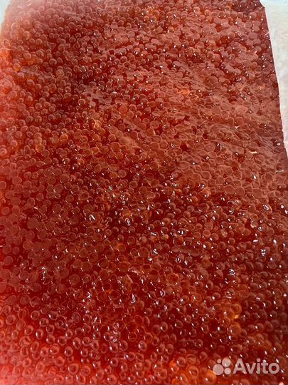 Икра горбуши