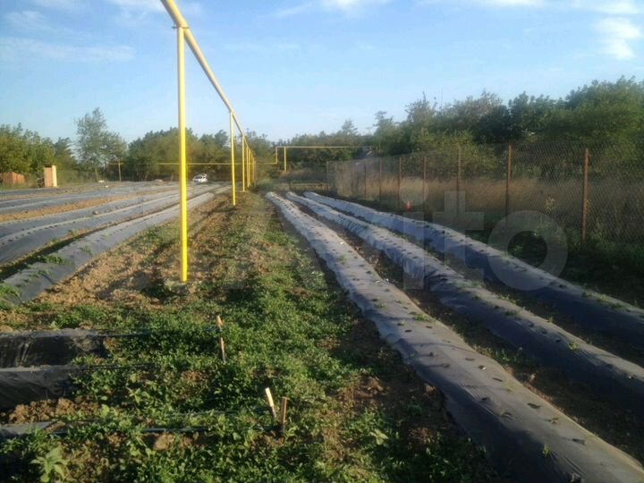 Участок 32 сот. (ИЖС)