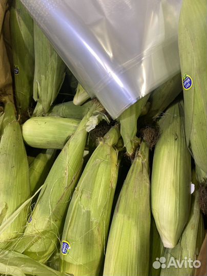 Кукуруза новый урожай свежий