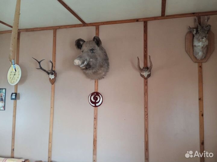 Дебаркадер однодечный проект 61Б