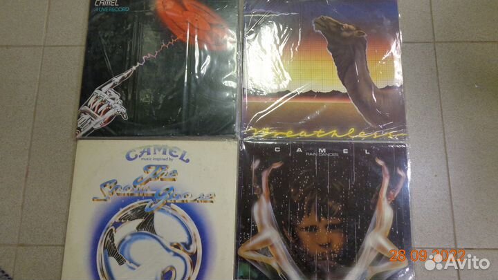 Винил изЯпонии Camel,Carpenters,Creedence, Cream