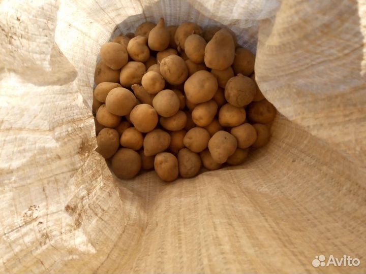 Продам, марковь и картишку