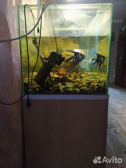 Аквариум с тумбой 250 литров