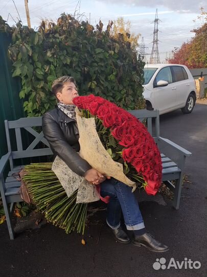 251 роза 1 метр