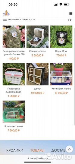 Элитные мини кролики