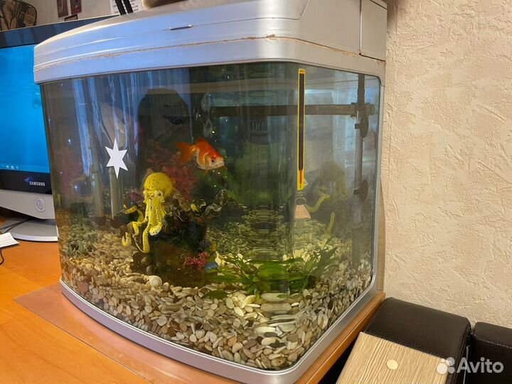 Аквариум с рыбками