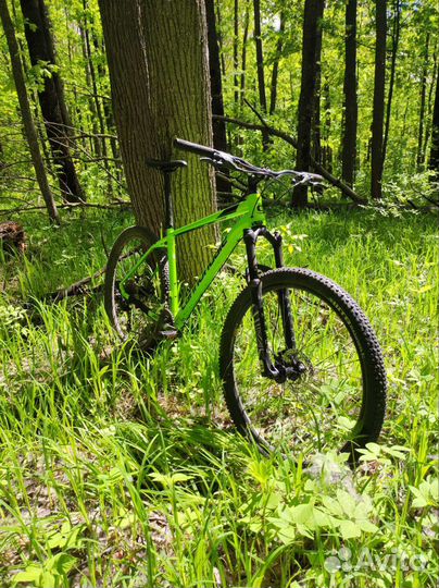 Cannondale trail 7