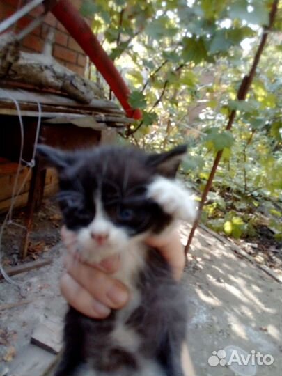 Отличные пацаны