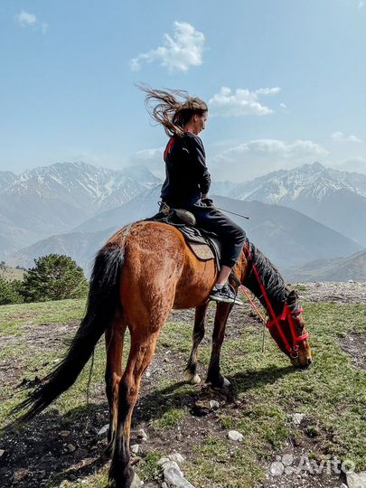 Экскурсии и туры по Северной Осетии