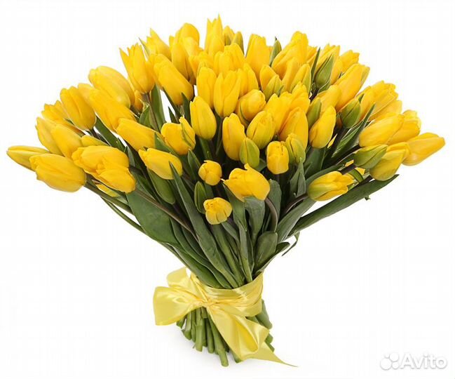 Букет 101 тюльпан желтый, цветы доставка