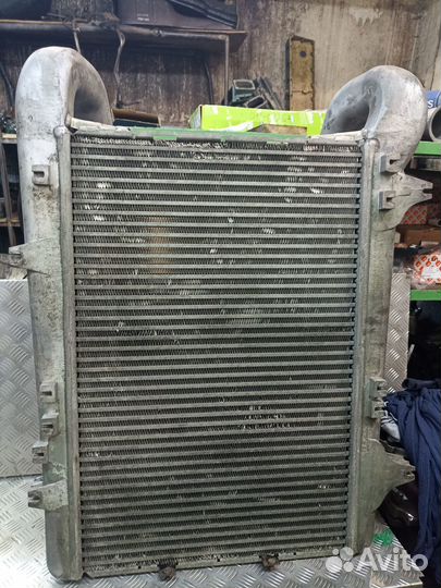 Интеркулер DAF XF105