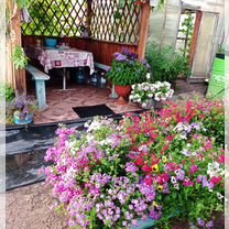 Дача 45 м² на участке 10 сот.